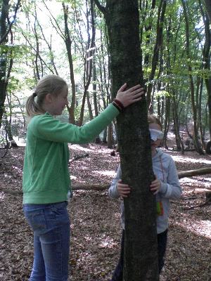 Wir ertasten einen Baum